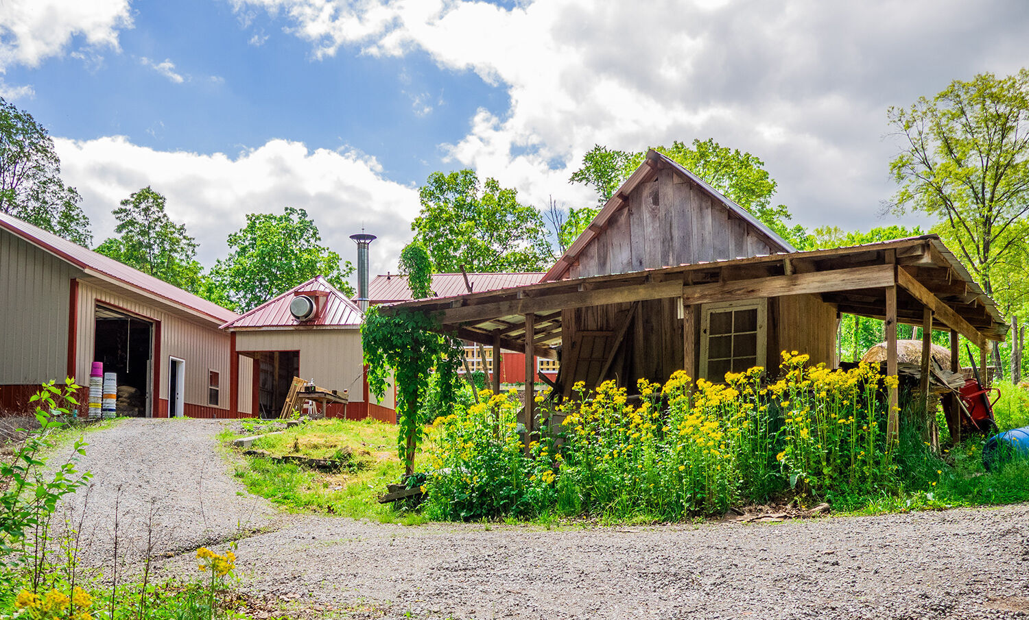 Scratch - barn